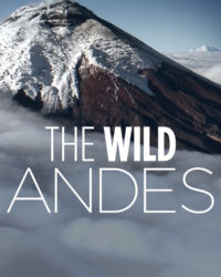 The Wild Andes